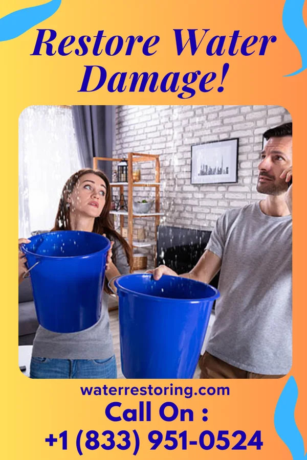 water restoration First Water Damage Contractors Mantua